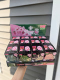 Starbs Squishy Drink BOX (Pre-Order Bulk)