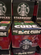Starbucks Squishy - Strawberry Acai Lemonade (In Stock)